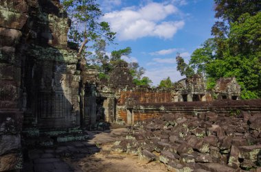 Preah Khan Tapınağı, Angkor Wat Tapınağı Kompleksi, Kamboçya.
