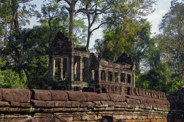 Preah Khan Tapınağı Angkor Wat Tapınağı Kompleksi Kamboçya — Stok fotoğraf