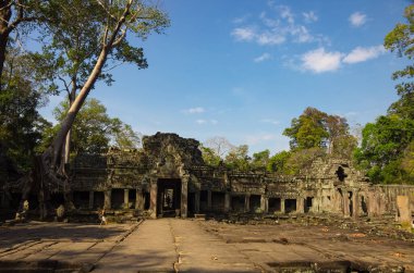 Preah Khan Tapınağı, Angkor Wat Tapınağı Kompleksi, Kamboçya.
