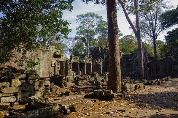 Preah Khan Tapınağı Angkor Wat Tapınağı Kompleksi Kamboçya — Stok fotoğraf