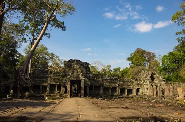 Preah Khan Tapınağı Angkor Wat Tapınağı Kompleksi Kamboçya — Stok fotoğraf