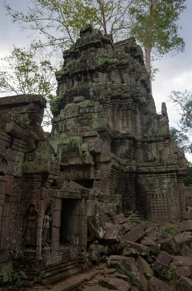 Kamboçya Daki Angkor Wat Taki Prohm Tapınağının Kalıntıları — Stok fotoğraf