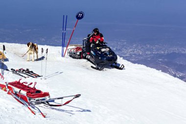 dağlarda köpekli kızak üzerinde cankurtaran