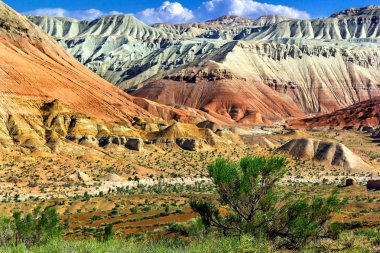 küçük ağaç arka plan ve bulutlu gökyüzü ıssız dağlarda