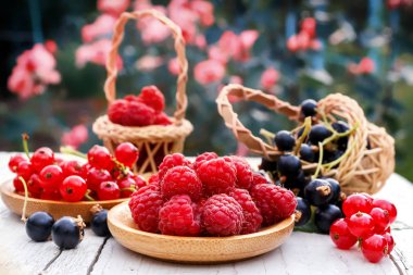 Taze Bahçe berry ahududu, kırmızı ve siyah kuş üzümü. Ahşap yemeklerinde taze çilek