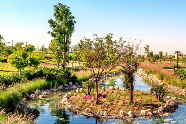 Искусственный Бассейн Камнями Цветами Деревьями Сафари Парке Дубая Зоопарк Животные — стоковое фото