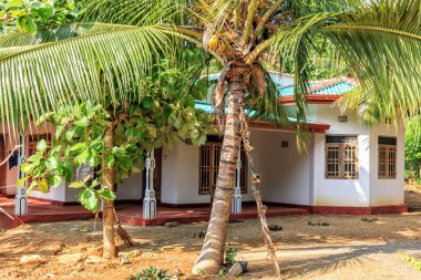 Sigiriya, Sri Lanka - 4 Ocak 2018. Geleneksel kırsal ev Hindistan cevizi avuç içi arasında güneşli bir günde duruyor.