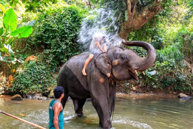 Kandy, Sri Lanka - 9 Ocak 2018. turist yağmur ormanları arasında nehirde Yüzme sırasında sulama fil