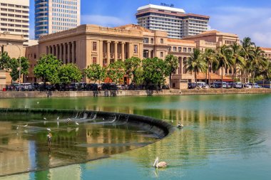 Colombo, Sri Lanka - 12 Ocak 2018. Pelikan Gölü Beira tarihi bir bina ve modern gökdelenler fonunda güneşli bir günde yüzmek