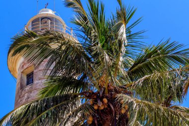 hindistancevizi üzerinde Güney Sri Lanka açıklarındaki mavi gökyüzü güneşli bir günde eski deniz feneri ve palmiye ağacı