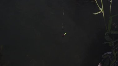 Balıkçı oltası sakin suda sallanır