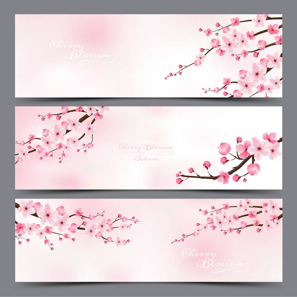 cherry blossom realistic vector, sakura, japan, blur background