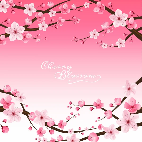 Vecteur réaliste de fleur de cerisier, sakura, Japon — Image vectorielle