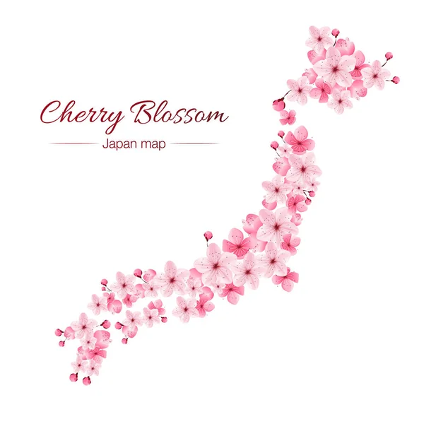 ดอกเชอร์รี่เวกเตอร์จริง, ซากุระ, แผนที่ญี่ปุ่น — ภาพเวกเตอร์สต็อก