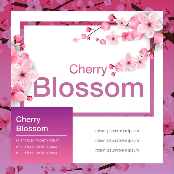 Flor de cereja, design de banner, sakura Japão, ilustração vetorial —  Vetores de Stock