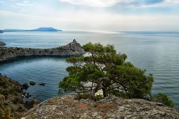 Cape Kapchik Crimea'da