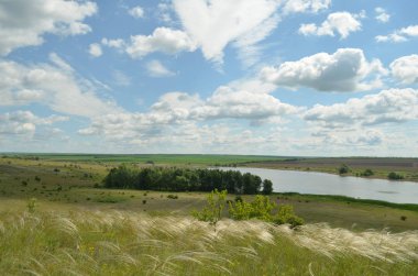 Don doğa yaz. Göl ve bozkır.
