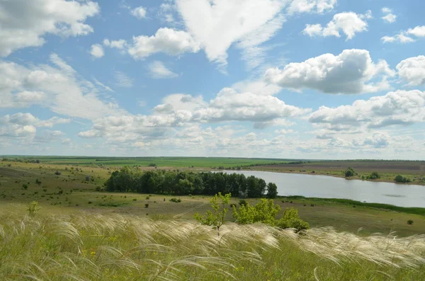 Don doğa yaz. Göl ve bozkır.