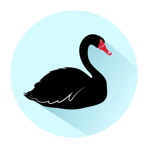 Lapos stílusú ikon black swan. Vektoros illusztráció. — Stock Vector