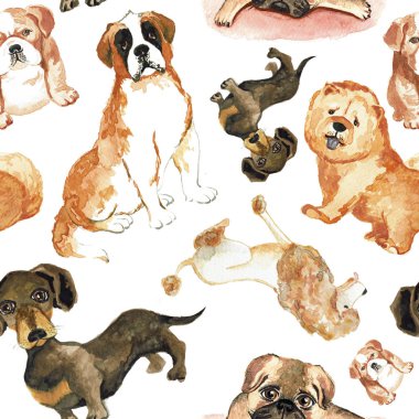 Köpekleri ile Seamless Modeli: St. Bernard köpeği, dachshund, chow chow, fino köpeği, pug.
