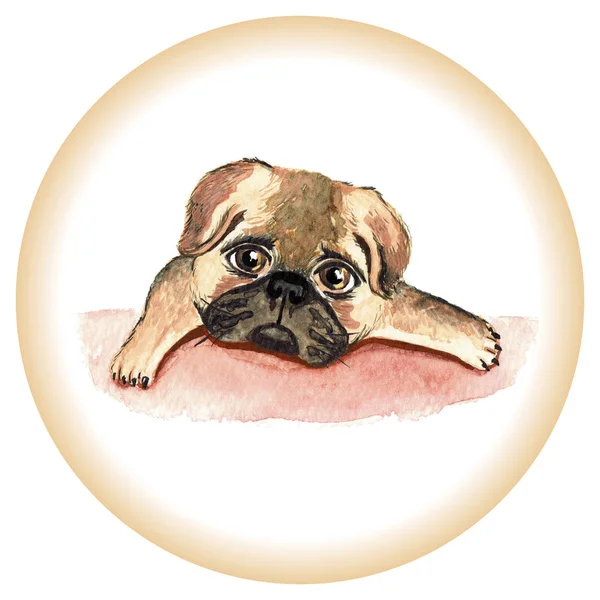Pug σκυλί. Ζωγραφική με νερομπογιές. Μπορεί να χρησιμοποιηθεί για καρτ-ποστάλ, χαρακτικά και σχεδιασμός — Φωτογραφία Αρχείου