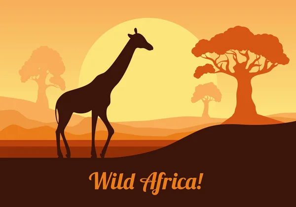 Afrykański krajobraz w odcieniach koloru pomarańczowego. Żyrafa na tle słońca. Ilustracja wektorowa w płaski. — Wektor stockowy