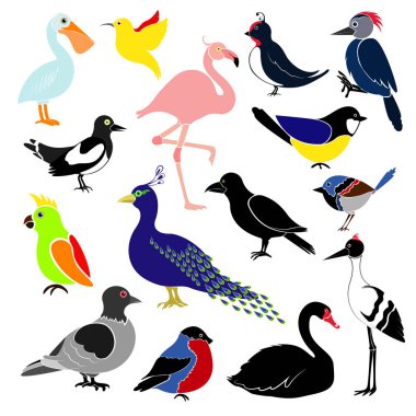 Beyaz arka plan üzerinde izole farklı kuşlar. Sinek kuşu, colibri, baştankara, şakrak kuşu, papağan, Pelikan, flamingo, ağaçkakan, kuğu, magpie, kırlangıç, kargalar, Vinç, tavus kuşu, güvercin. 