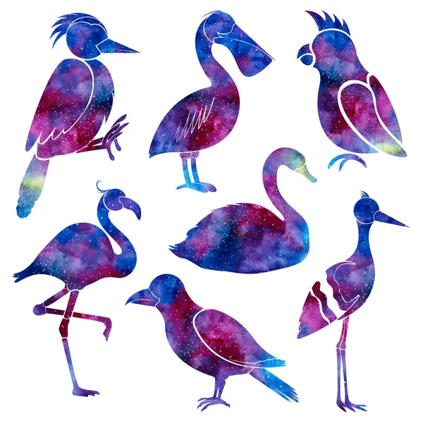 Siluetter av olika fåglar. Utrymme bakgrund. Hand dras akvarell illustration. — Stockfoto