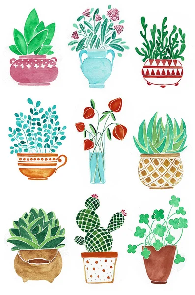 Conjunto de plantas diferentes em vasos. Flores num vaso. Ilustração desenhada à mão aquarela . — Fotografia de Stock