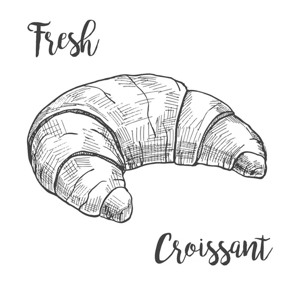 Verse croissants geïsoleerd op een witte achtergrond. Vectorillustratie van een schets stijl. — Stockvector