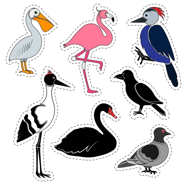 组的贴纸。不同的鸟类在白色背景上孤立 — 图库矢量图片