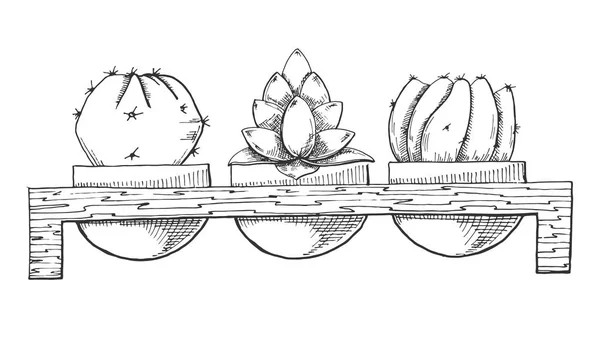 Ескіз трьох суккулентів у горщиках на дерев'яній підставці. Векторна ілюстрація стилю ескізу . — стоковий вектор