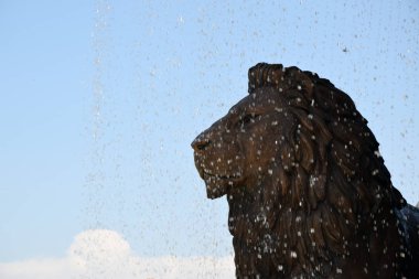 Aslan şehir çeşme heykel. Skopje, Makedonya.