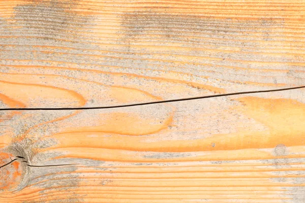 Close-up view of tree rings. Wooden texture background. — Stock Photo, Image
