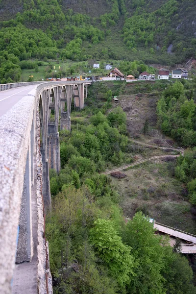 "Durdevica Tara Köprüsü"- beton Tara köprü Kuzey Karadağ. Tara Kanyon. — Stok fotoğraf