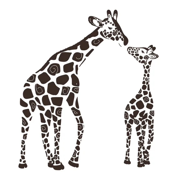 Dos lindas jirafas aisladas sobre un fondo blanco. Jirafa bebé y jirafa adulta. Vector — Archivo Imágenes Vectoriales