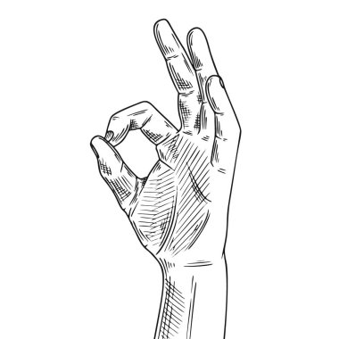 El hareketi tamam. Çizim tarzında illüstrasyon. El çizimi vektör