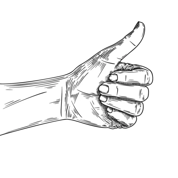 Sketch hand with a raised thumb. Hitchhiking sign, good. — 스톡 벡터