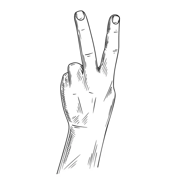 Hand sign victory or peace and scissors. Vector illustration in sketch style — 스톡 벡터