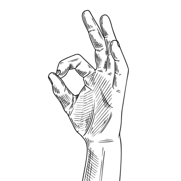 Hand gesture okay. Illustration in sketch style. Hand drawn vector — 스톡 벡터