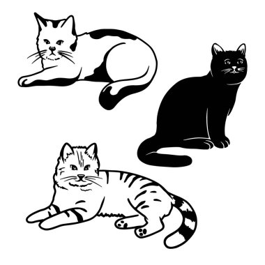 Beyaz arka planda izole edilmiş bir grup tatlı kedi. Vektör illüstrasyonu