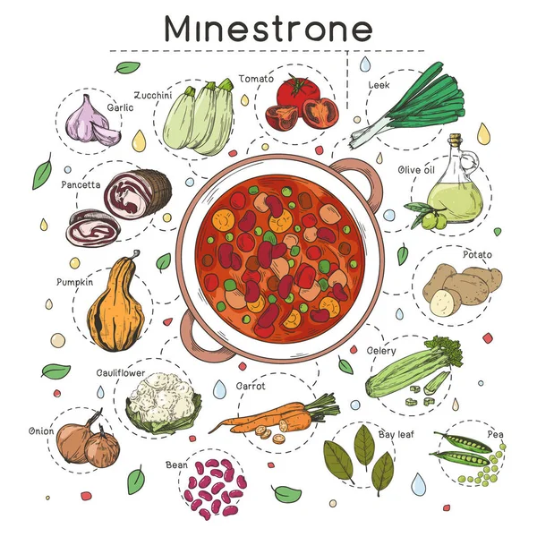 Recette Soupe Cuisine Italienne Minestrone Assiette Avec Soupe Différents Ingrédients — Image vectorielle