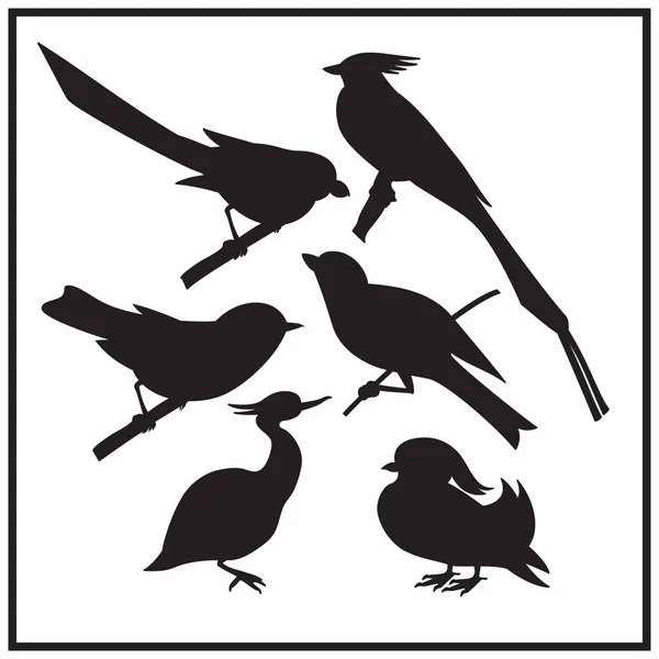 Набор различных силуэтов птиц. Чёрно-белая иллюстрация . — стоковый вектор