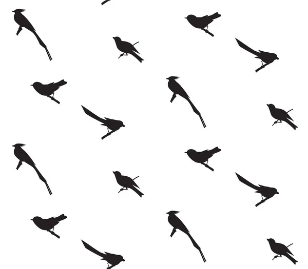Motif sans couture avec des silhouettes d'oiseaux. — Image vectorielle