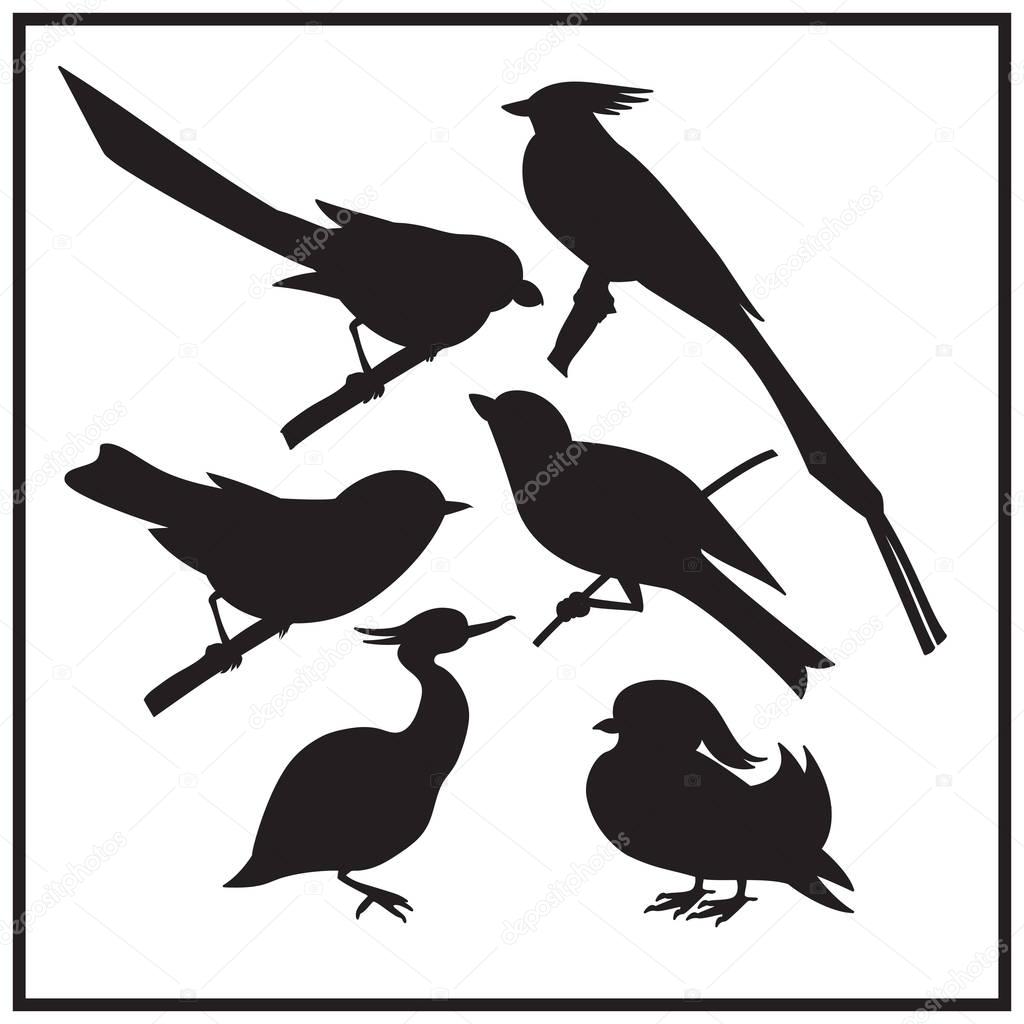 Set of different birds silhouette. Black-white illustration.