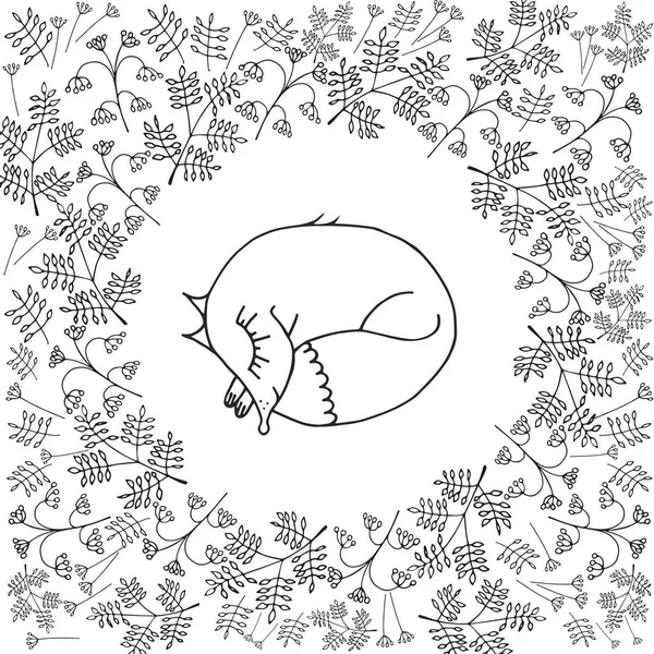 Çimlerin arasında uyuyan küçük tilki