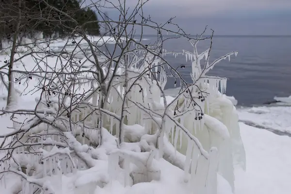 kıyıya yakın Gölde yüzen buz