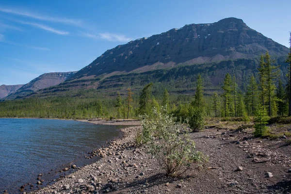 Rusya 'nın Sibirya bölgesindeki Krasnoyarsk bölgesindeki Putorana platosuna yaz aylarında seyahat edin.