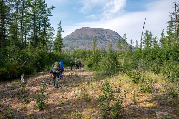 Rusya 'nın Sibirya bölgesindeki Krasnoyarsk bölgesindeki Putorana platosuna yaz aylarında seyahat edin.