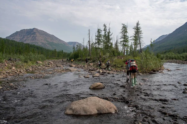 Rusya 'nın Sibirya bölgesindeki Krasnoyarsk bölgesindeki Putorana platosuna yaz aylarında seyahat edin.